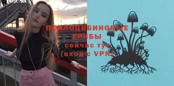 винт Осташков