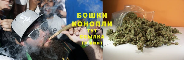 винт Осташков