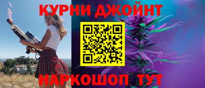 дмт Гай