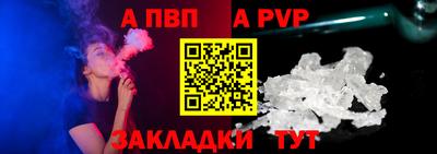 дмт Гай