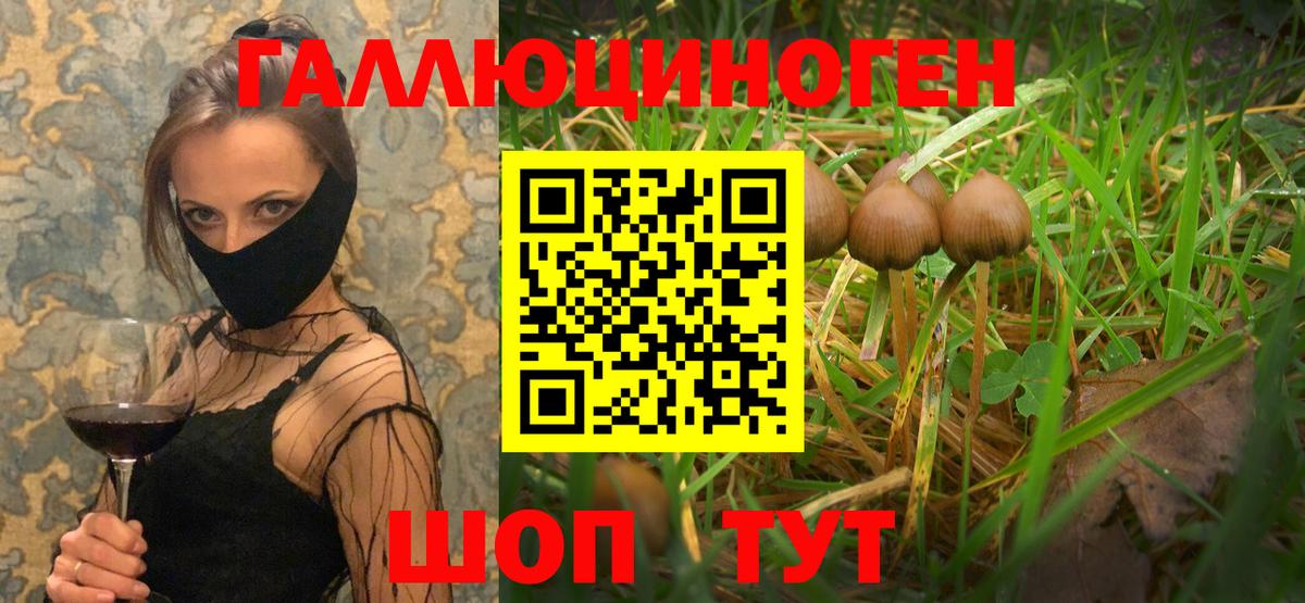Псилоцибиновые грибы мухоморы  Галлюциногенные грибы Cubensis  Среднеуральск  Вход с VPN 
