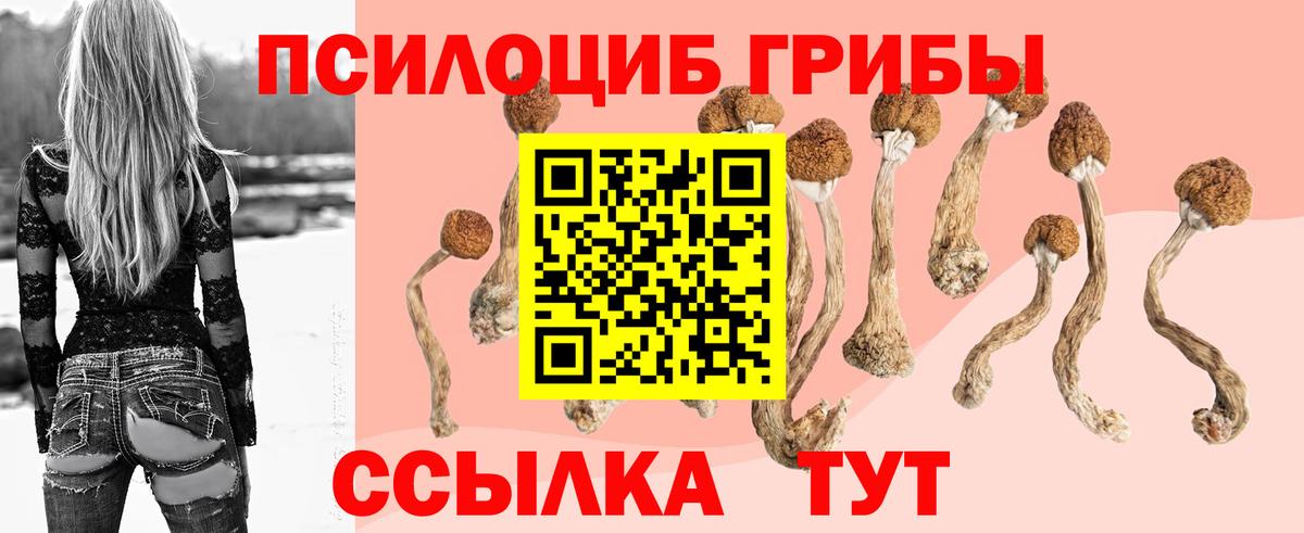 Галлюциногенные грибы мухоморы Среднеуральск